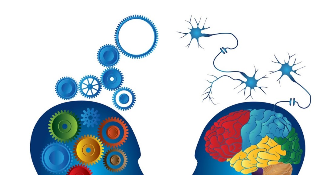 Principios-Basico-de-la-PNL